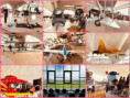 /album/trend/142-exhibition-a-jpg/